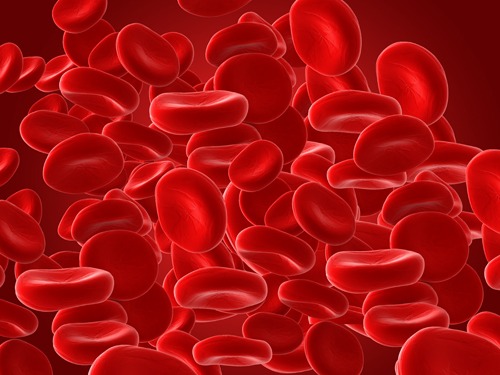 Blutzellen
